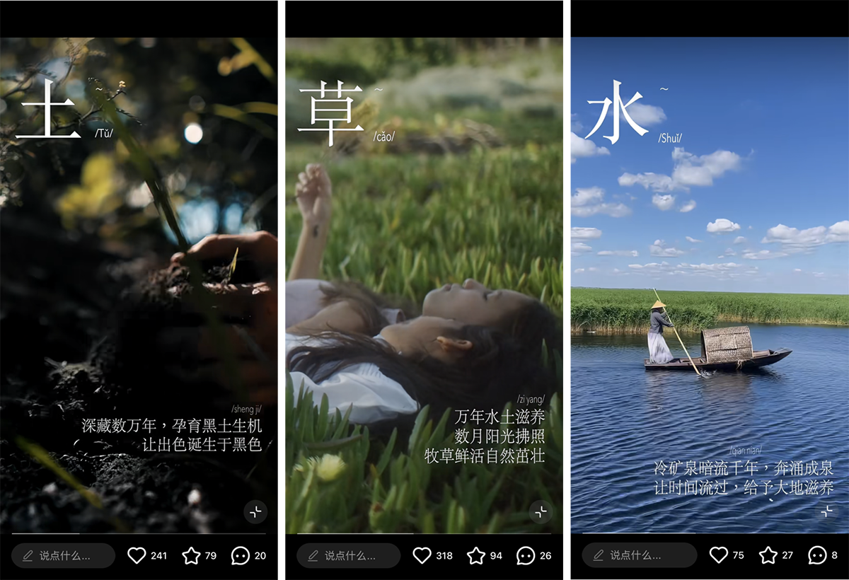 飞鹤奶粉携手小红书「慢人节」解锁“闲云野鹤式”慢生活