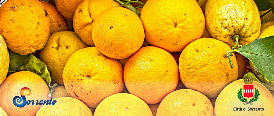 迷醉索伦托,赴一场感官与心灵的双重盛宴