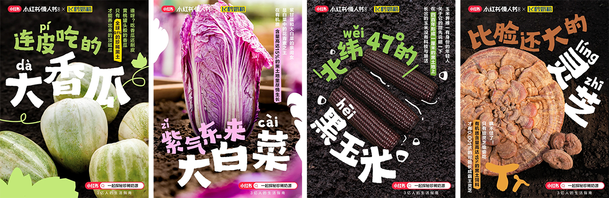 飞鹤奶粉携手小红书「慢人节」解锁“闲云野鹤式”慢生活