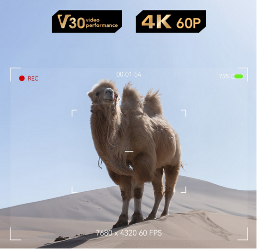 流畅记录生活之美,雷克沙SD白卡轻盈来袭