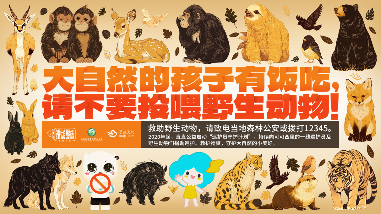 构建和谐共生的人与自然关系,墨迹天气倡议“不要投喂野生动物”