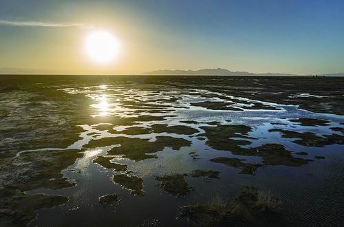 科罗拉多河三角洲正恢复生机