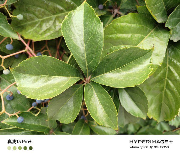 真我13 Pro+评测:好看更好拍 旗舰潜望实现构图自由