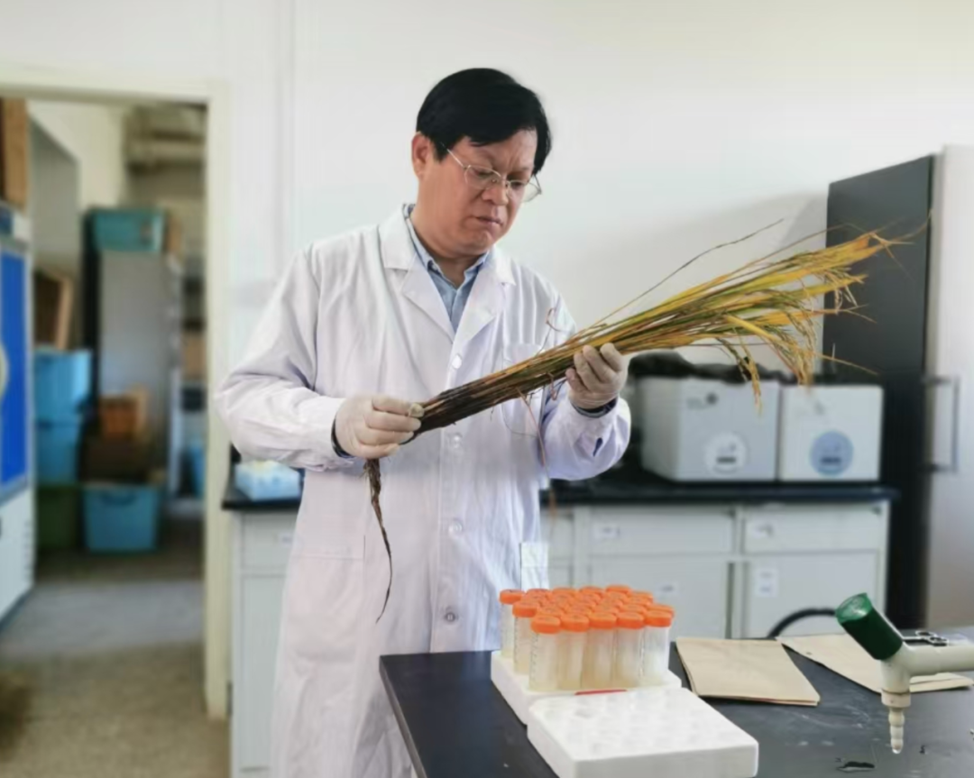 药物为何“失效”?中国科学家追查到了源头