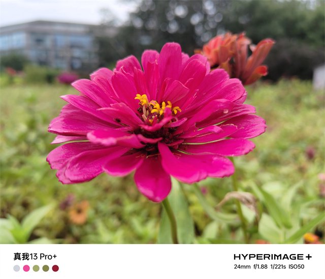 真我13Pro+体验评测：同价位中的长焦神器 旗舰级体验