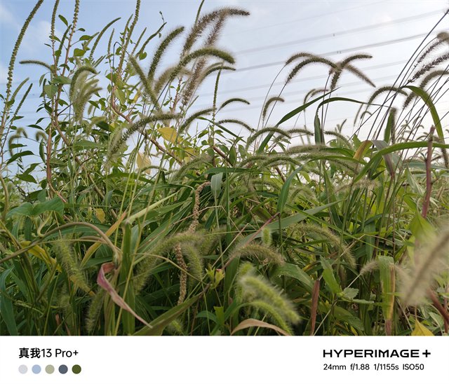 真我13Pro+体验评测：同价位中的长焦神器 旗舰级体验