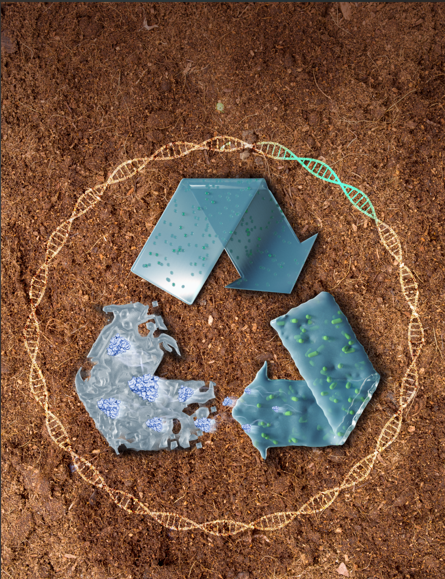 新型活体塑料助力塑料污染难题