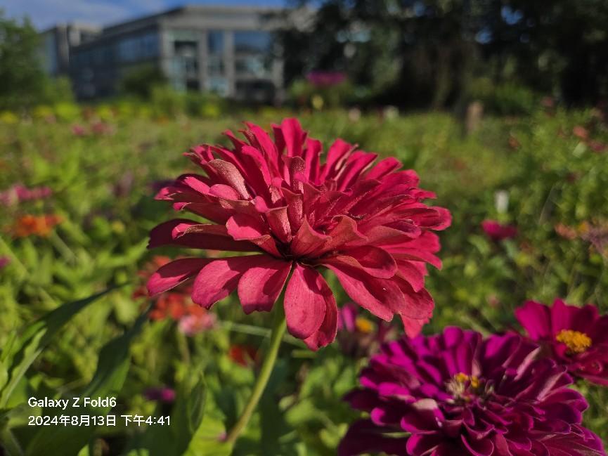 三星Galaxy Z Fold6体验:依然精致的外观 也是迄今为止最强的三星折叠屏