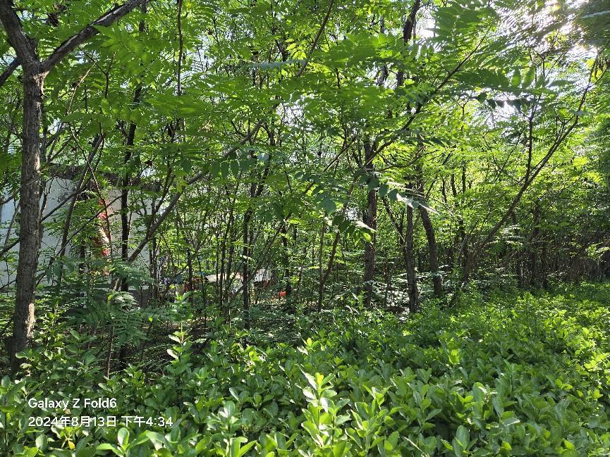 三星Galaxy Z Fold6体验:依然精致的外观 也是迄今为止最强的三星折叠屏