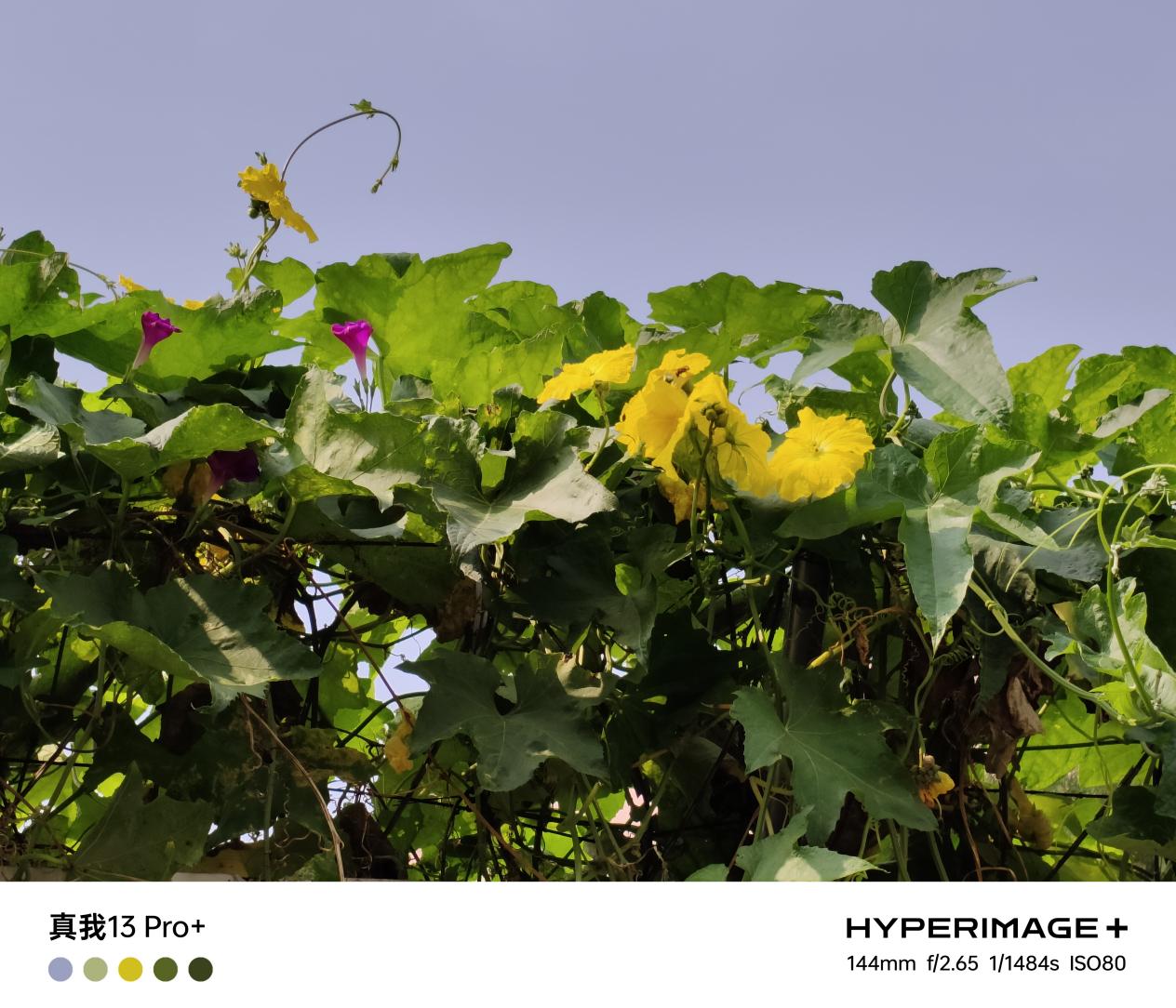 真我13 Pro+全面评测：1999元拥有旗舰长焦和艺术设计