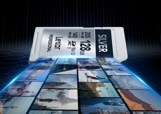 流畅记录生活之美,雷克沙SD白卡轻盈来袭