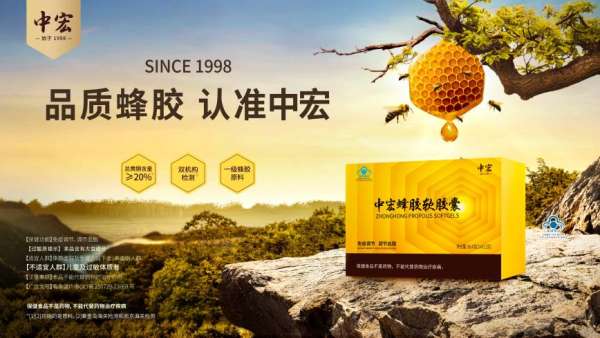 中宏生物携手蜜蜂所,国家发明专利科技赋能中宏蜂胶