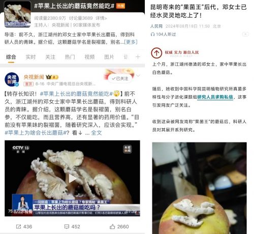 发霉了竟然更值钱?超一万人在闲鱼晒出食品发霉照片,一堆研究生破防了