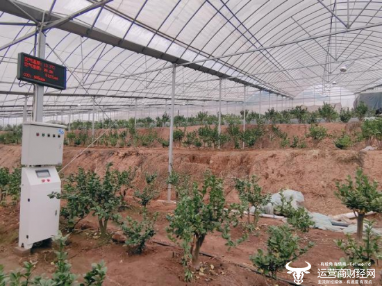 心系群众,数智为民,浙江移动“心级服务”暖人心