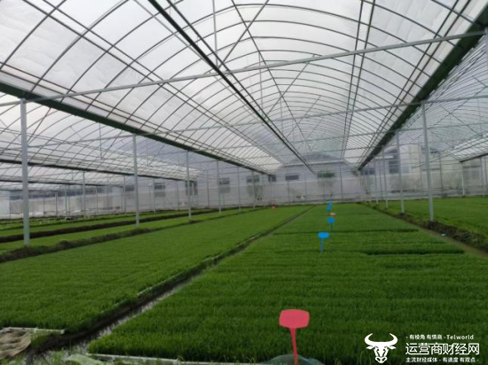 心系群众,数智为民,浙江移动“心级服务”暖人心