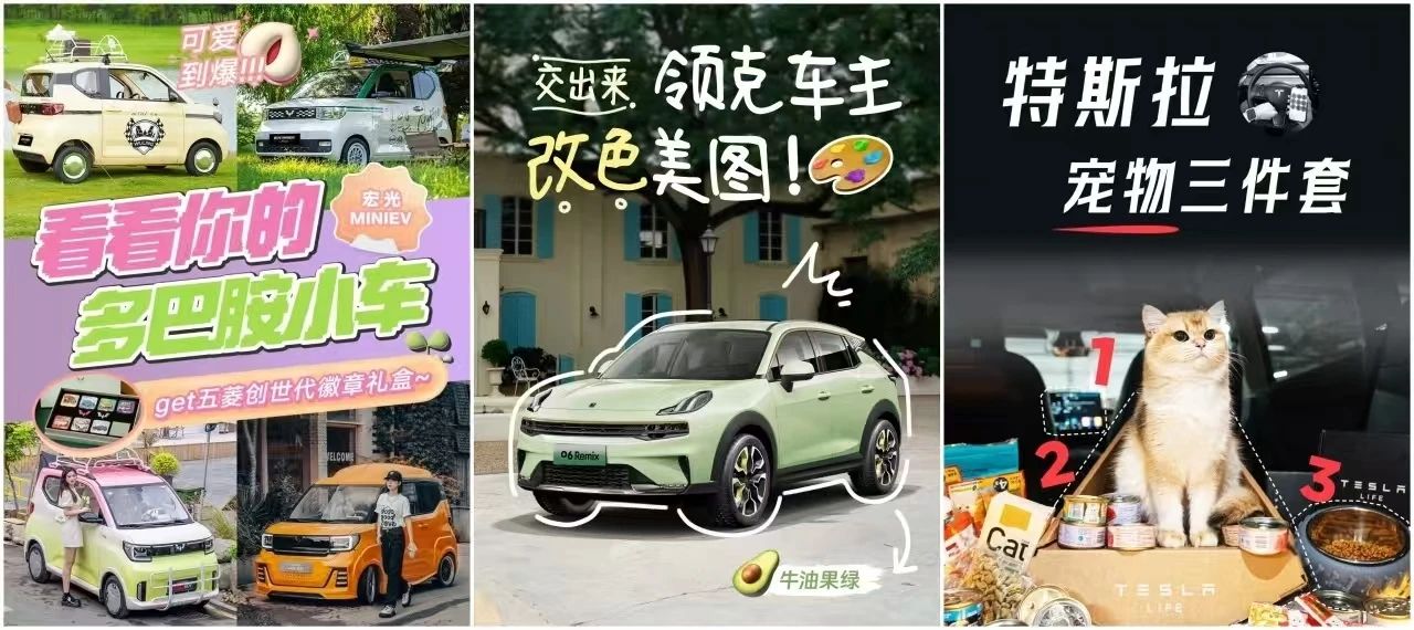 图片来自小红书