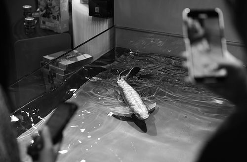 北京首个全品类机器人展示中心启幕