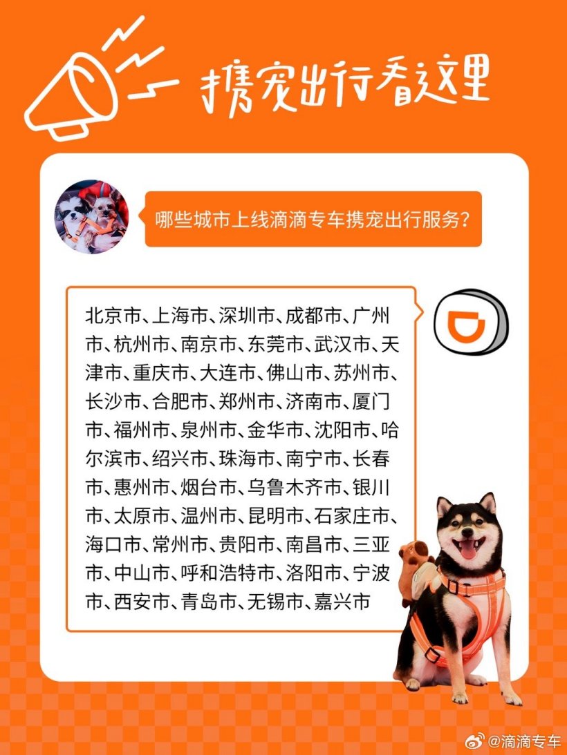 滴滴专车携宠出行服务上线:覆盖北京、上海、广州、深圳等 49 个城市