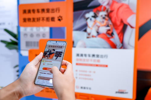 滴滴专车携宠出行49城上线 宠物友好不拒载 分档计价满足多样需求