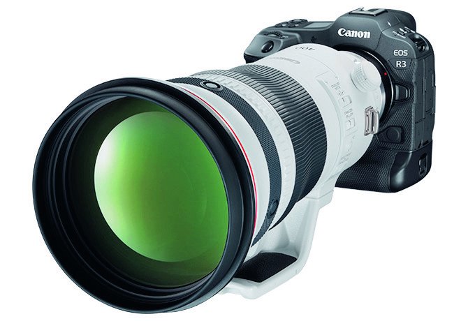 享受拍鸟的乐趣 ——佳能EOS R3试拍心得