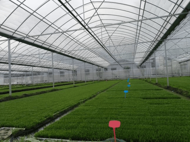 心系群众，数智为民，浙江移动“心级服务”暖人心