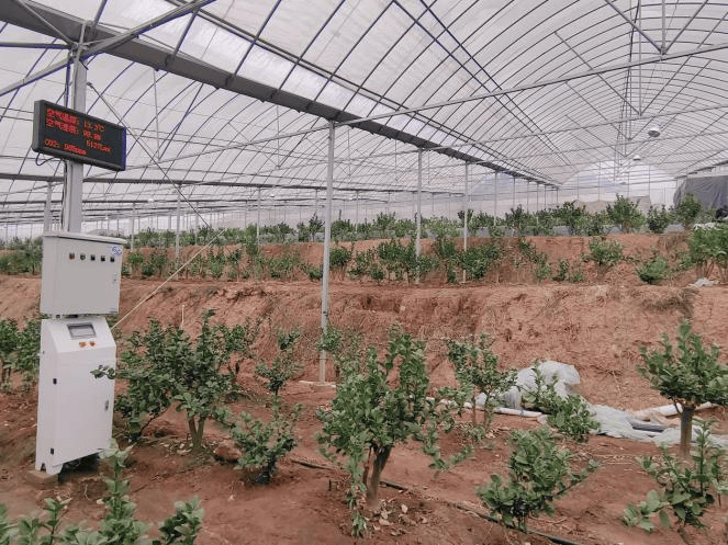 心系群众，数智为民，浙江移动“心级服务”暖人心