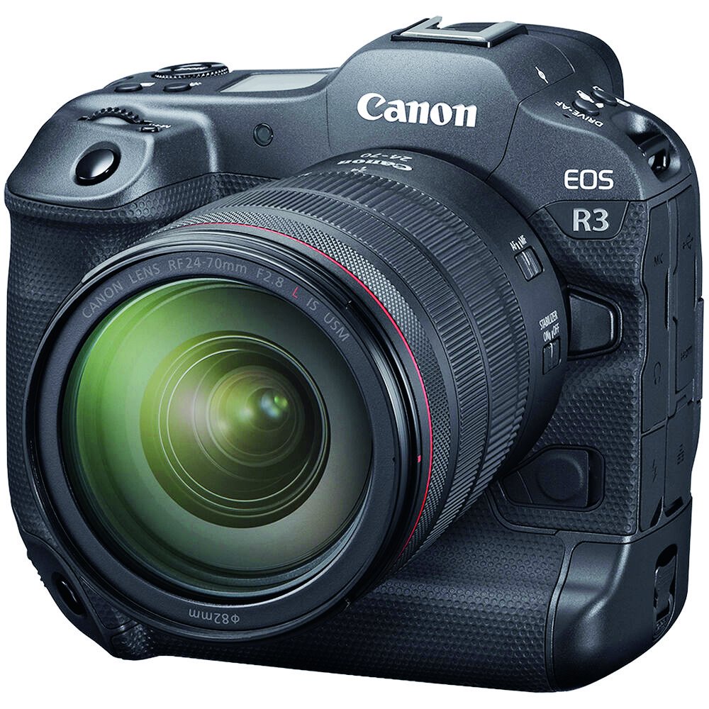 享受拍鸟的乐趣 ——佳能EOS R3试拍心得