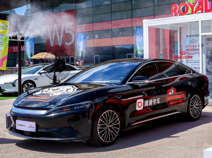 滴滴专车携宠出行服务上线:覆盖北京、上海、广州、深圳等 49 个城市