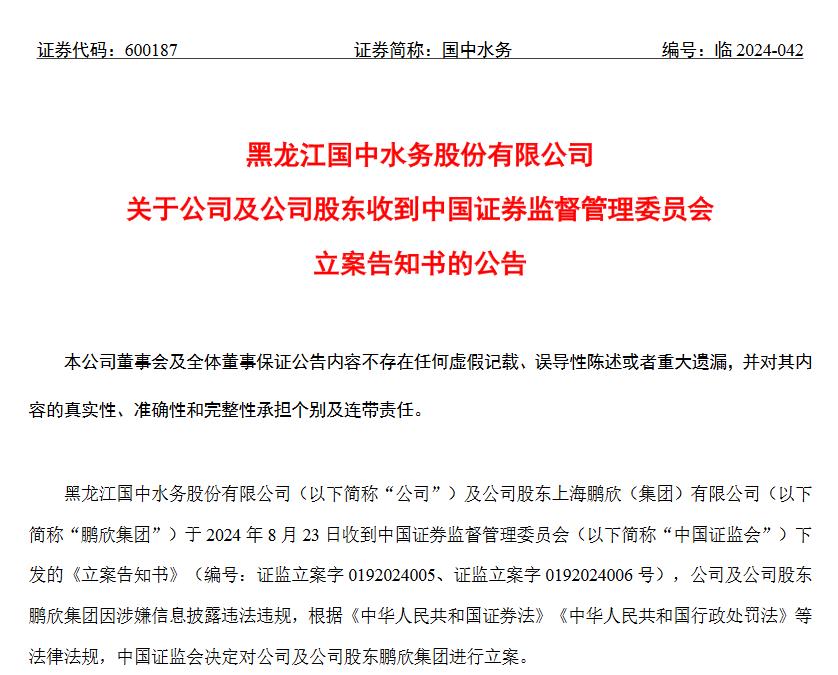 V观财报|国中水务及股东鹏欣集团被立案