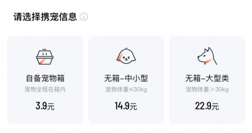 滴滴专车携宠出行49城上线 宠物友好不拒载 分档计价满足多样需求