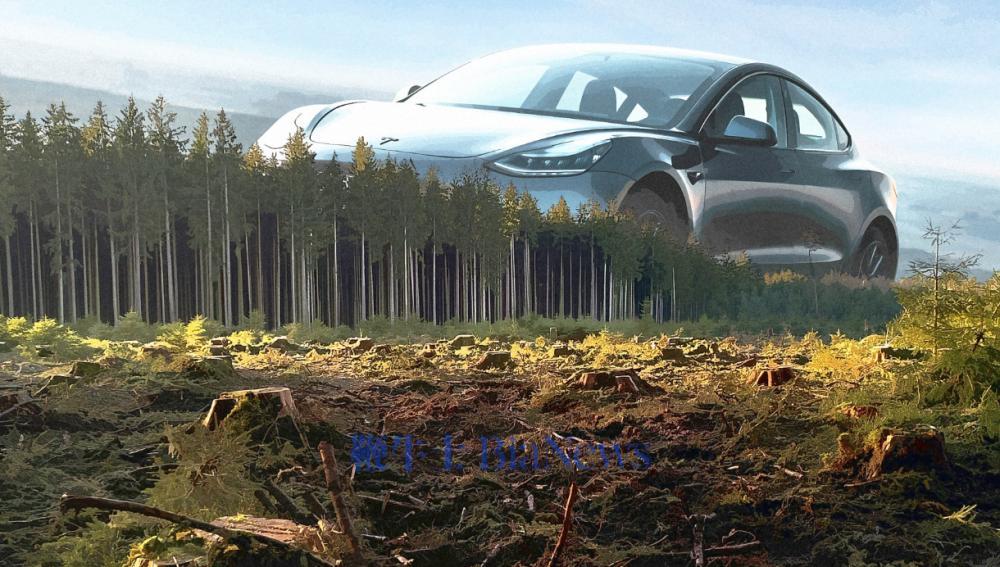 特斯拉建造德国超级工厂砍伐50万棵树引发抗议