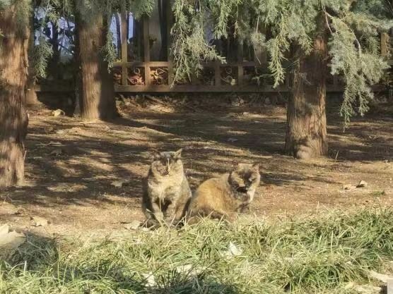 上一页 1 2 3 下一页