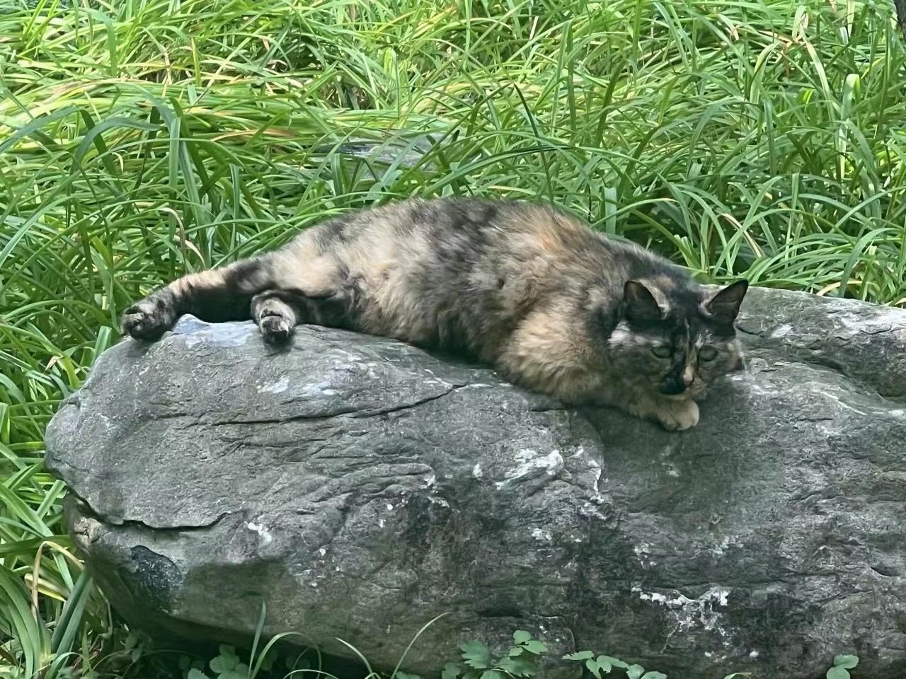 上一页 1 2 3 下一页