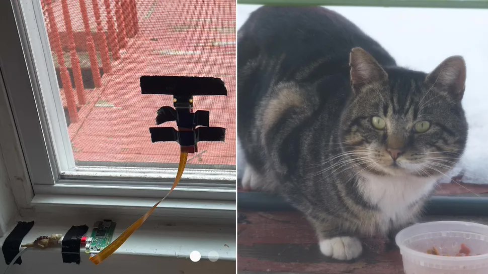 树莓派打造智能流浪猫监视器,还能拍猫照、赶鸟儿