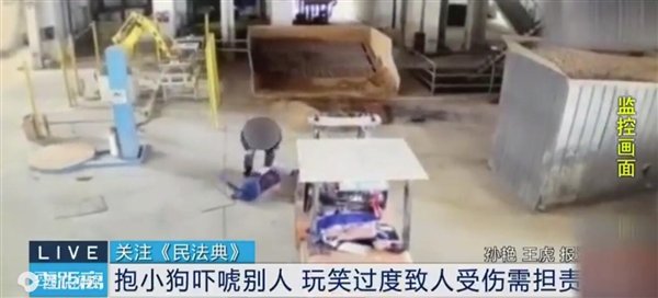 开玩笑要注意分寸!男子抱狗吓同事致其骨折被起诉