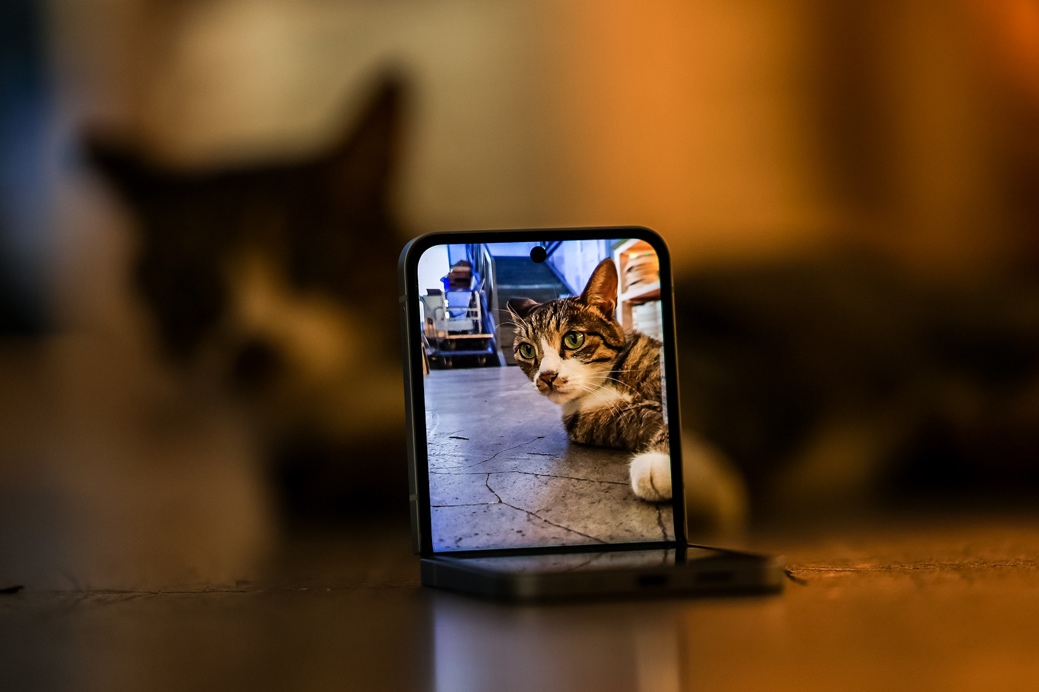 三星Galaxy Z Fold6|Z Flip6成都品鉴会:见证Galaxy AI生态全新突破