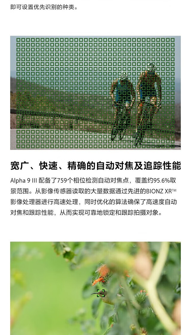 新一代全画幅旗舰微单 索尼A9M3成都37900元