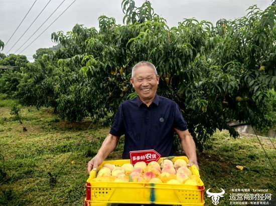 拼多多发布Q2财报 投入百亿扶持新质商家 持续助力商家提质增效