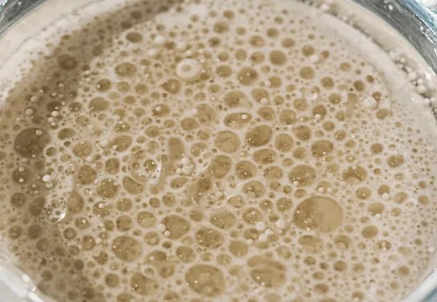 3个0,新茶饮的集体谎言?