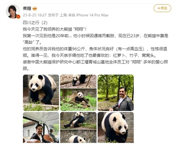 中国首只截肢大熊猫“戴立”离世!死因公布:年老伴随心脏病变