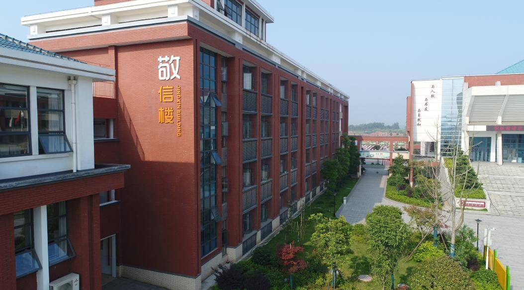 行业“隐形冠军”浮出水面,张新发用销量力证第一地位