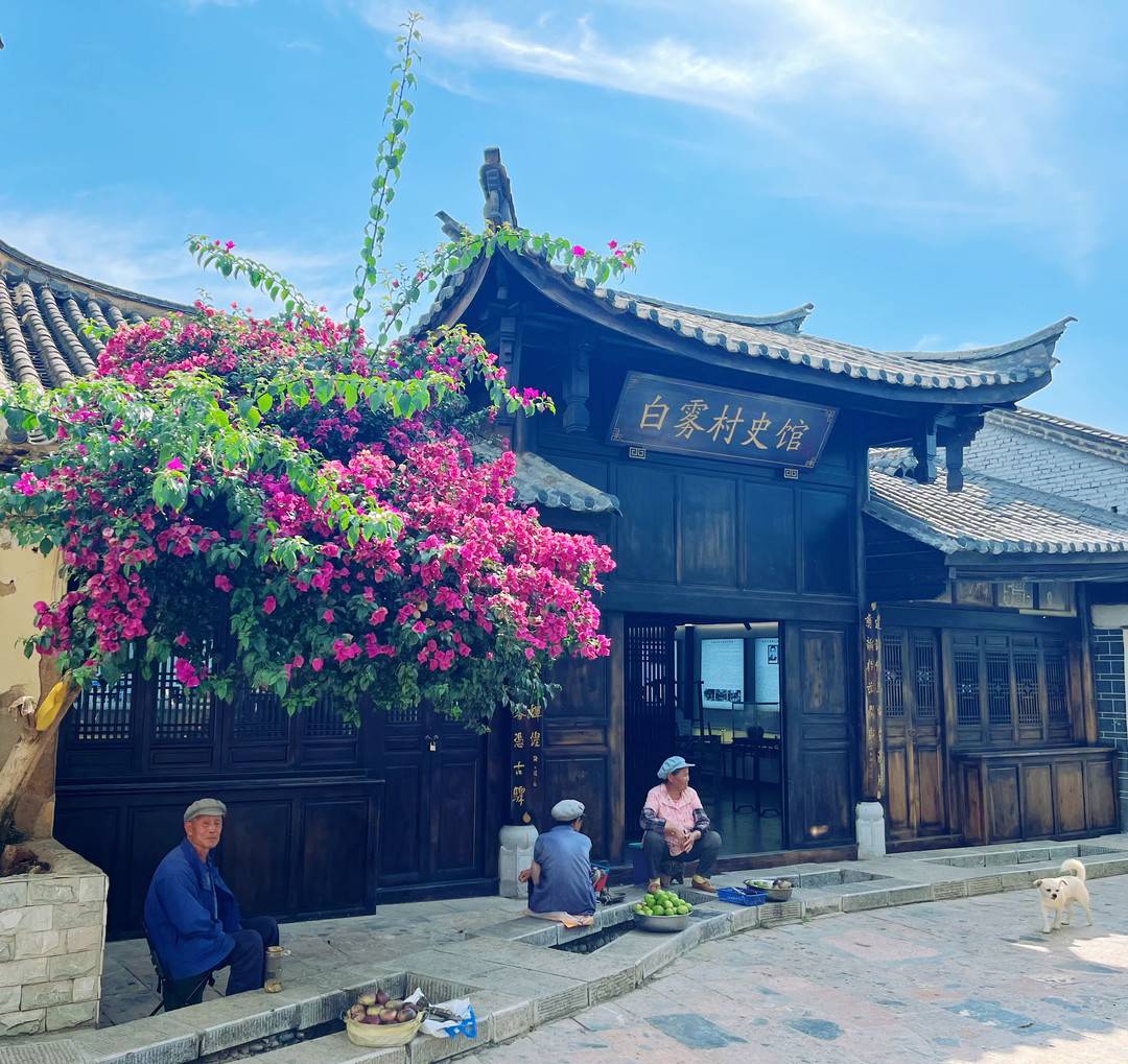 新经济观察|高温天气催热避暑旅游,云南曲靖如何将“凉资源”转化为“热经济”?