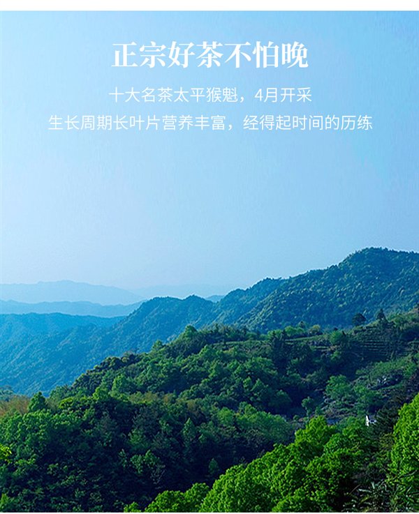 中华老字号 回甘耐泡:徽六太平猴魁75克25.9元官方大促