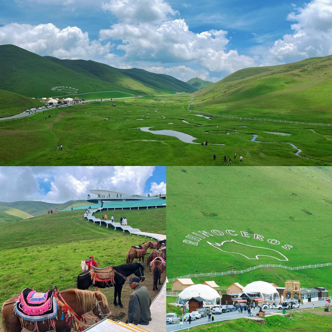 新经济观察|高温天气催热避暑旅游,云南曲靖如何将“凉资源”转化为“热经济”?