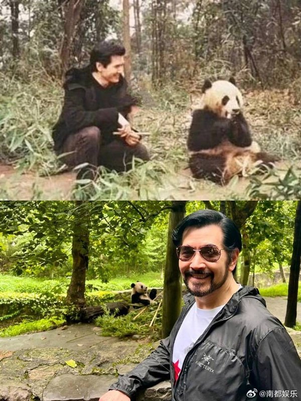 中国首只截肢大熊猫“戴立”离世!死因公布:年老伴随心脏病变