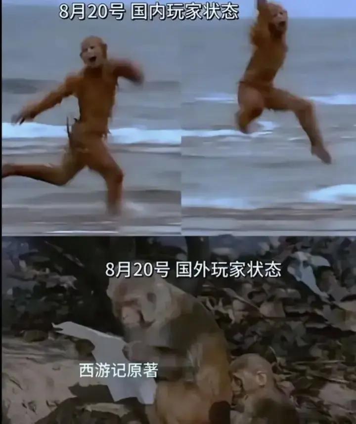 (这下该到老外查字典了)