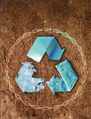 “活”塑料有望破解白色污染难题