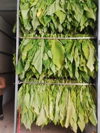 基诺德40座一体闭式空气能热泵烤房助力绿色经济