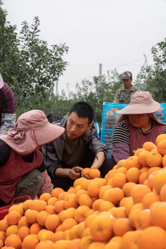 掉粉50万后靠带货口碑涨回40万 , 抖音电商 “同行者” 任海龙重获粉丝认可