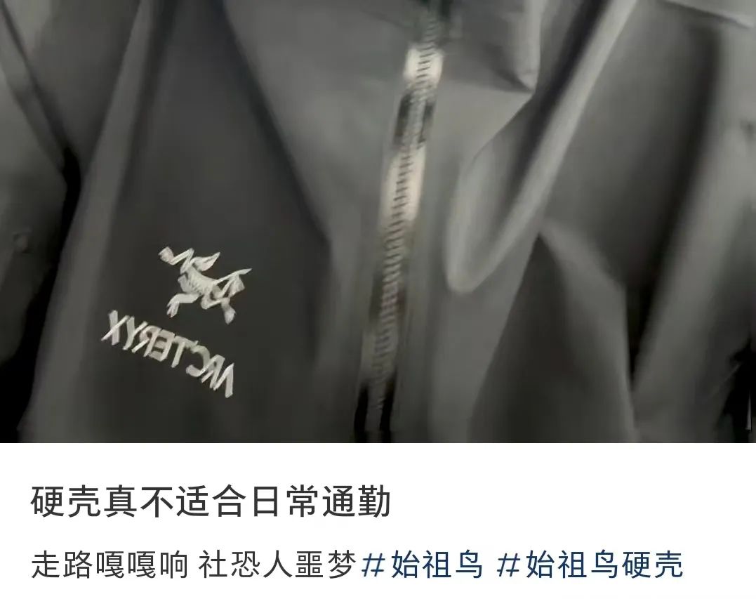 日本“廉价始祖鸟”,闷声搞定中国